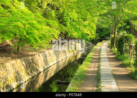 Nuovo verde e modo filosofico Foto Stock