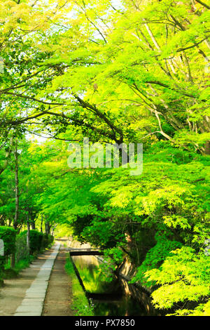 Nuovo verde e modo filosofico Foto Stock