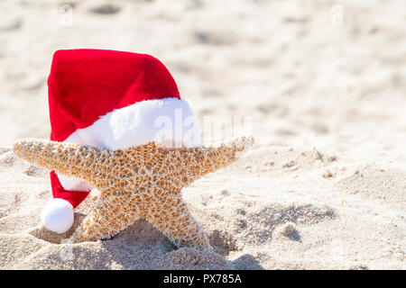 Close up della stella di mare nella spiaggia di sabbia di indossare il bianco e il rosso un peloso Christmas Santa hat Foto Stock