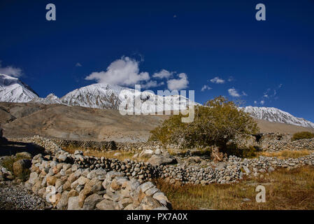 Villaggio Meerak nel colore di autunno, Pangong Lake, Ladakh, India Foto Stock