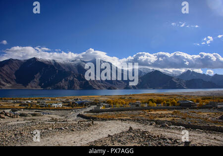 Villaggio Meerak nel colore di autunno, Pangong Lake, Ladakh, India Foto Stock