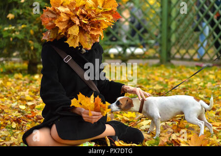 Il cane sniffs Foglie di autunno. donna con una ghirlanda di foglie di autunno come accarezzare un cane. Foto Stock