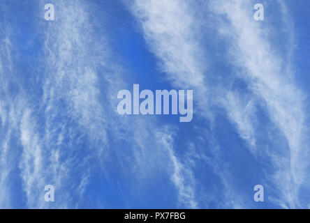 White wispy Cirrus nuvole formando in una direzione verticale contro un profondo cielo blu Foto Stock