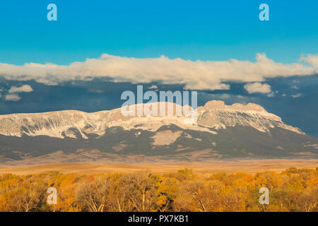 A dente di sega di crinale lungo il Rocky Mountain Front sopra cottonwoods in autunno a colori nei pressi di Augusta, montana Foto Stock