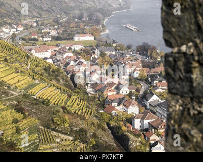 Wachau, autunno in vigneti hill Tausendeimerberg, rovina Hinterhaus, Bassa Austria, Spitz Foto Stock