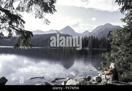 Lago Tschirmer, Repubblica Slovacca, Hohe Tatra, il villaggio di Strbske Pleso Foto Stock