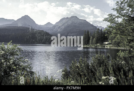 Lago Tschirmer, Repubblica Slovacca, Hohe Tatra, il villaggio di Strbske Pleso Foto Stock
