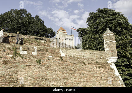 Beograd, fortezza con bandiera serba sventolare nel vento, Serbia-Montenegro, Belgrado Foto Stock