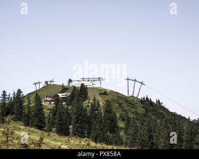 Zwieselalm, Austria, Austria superiore, area di Dachstein, Gosau Foto Stock