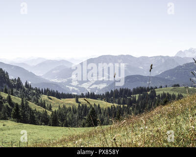 Zwieselalm, Austria, Austria superiore, area di Dachstein, Gosau Foto Stock