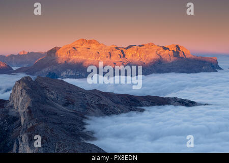 Alpenglow sul gruppo montuoso del Sella all'alba. Marea di nuvole. Le Dolomiti. Alpi Italiane. Europa. Foto Stock