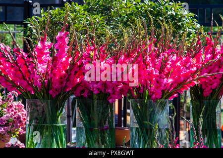 TBILISI, GEORGIA, 2018 ottobre 06: fiori autunnali sulla celebrazione del giorno di città in stile georgiano, capitale Tbilisi, Repubblica di Georgia Foto Stock