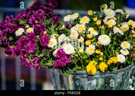 TBILISI, GEORGIA, 2018 ottobre 06: fiori autunnali sulla celebrazione del giorno di città in stile georgiano, capitale Tbilisi, Repubblica di Georgia Foto Stock