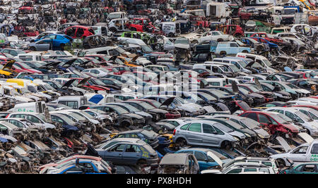 Auto junkyard piena di relitti di automobili. Foto Stock