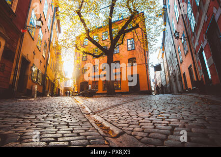 Affascinante di Stoccolma scena di strada con vecchie case colorate in beautiful Golden luce della sera al tramonto in Gamla Stan Città Vecchia, Svezia Foto Stock