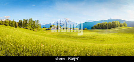 Bella vista della montagna idilliaco paesaggio di montagna con prati in fiore e cime picchi di montagna in una bella giornata di sole con cielo blu in primavera Foto Stock