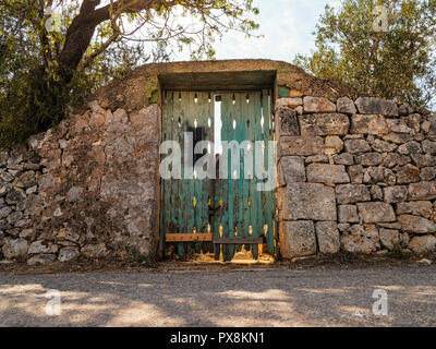 Il legno porta verde nella campagna del Salento, Italia Foto Stock