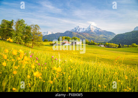 Bella vista della montagna idilliaco paesaggio di montagna con prati in fiore e cime picchi di montagna in una bella giornata di sole con cielo blu in primavera Foto Stock