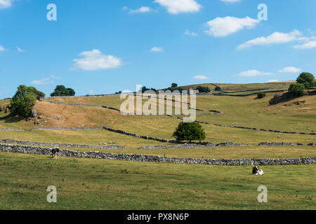 Vista pacifica in tutta la brughiera terreno coltivato con muri in pietra a secco in un assolato pomeriggio di luglio vicino a Hartington, Derbyshire, England, Regno Unito Foto Stock