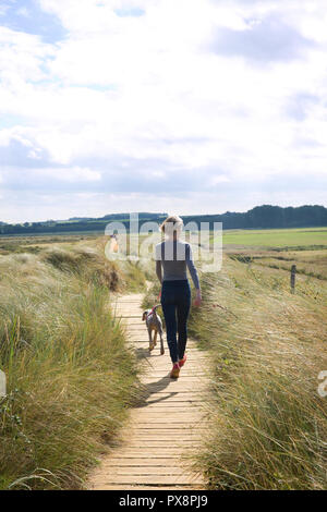 Dog-walking con piombo a Thornham, Norfolk, Inghilterra Foto Stock