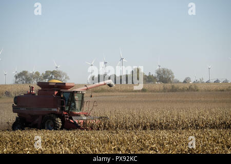 Fonda, IOWA, USA. Xvii oct, 2018. Un agricoltore combina il suo campo di mais il mais al di fuori di fonda, Iowa, Mercoledì, Ottobre 17 2018. Gli agricoltori sono sollevati ad entrare nei loro campi per il raccolto dei loro raccolti dopo un periodo da sette a otto giorni di pioggia di recente. Ma questo rilievo non alleviare la loro trepidazione che la tariffa battibecco che l'attuale amministrazione repubblicana a Washington sta avendo con le altre nazioni. Credito: Jerry Mennenga/ZUMA filo/Alamy Live News Foto Stock