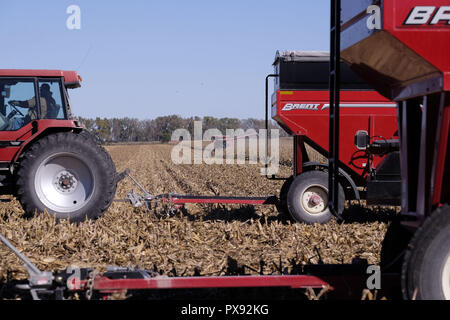 Fonda, IOWA, USA. Xvii oct, 2018. Un agricoltore combina il suo campo di mais grano come un helper porta un altro carro vuoto da riempire al di fuori di fonda, Iowa, Mercoledì, Ottobre 17 2018. Gli agricoltori sono sollevati ad entrare nei loro campi per il raccolto dei loro raccolti dopo un periodo da sette a otto giorni di pioggia di recente. Ma questo rilievo non alleviare la loro trepidazione che la tariffa battibecco che l'attuale amministrazione repubblicana a Washington sta avendo con le altre nazioni. Credito: Jerry Mennenga/ZUMA filo/Alamy Live News Foto Stock