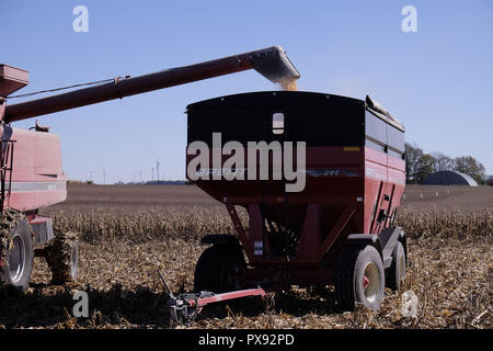 Fonda, IOWA, USA. Xvii oct, 2018. Un agricoltore scarica la sua mietitrebbia come egli ha raccolto il suo campo di mais il mais al di fuori di fonda, Iowa, Mercoledì, Ottobre 17 2018. Gli agricoltori sono sollevati ad entrare nei loro campi per il raccolto dei loro raccolti dopo un periodo da sette a otto giorni di pioggia di recente. Ma questo rilievo non alleviare la loro trepidazione che la tariffa battibecco che l'attuale amministrazione repubblicana a Washington sta avendo con le altre nazioni. Credito: Jerry Mennenga/ZUMA filo/Alamy Live News Foto Stock