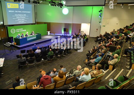 Glasgow, Scotland, Regno Unito. Xx oct, 2018. Scottish Partito Verde Conferenza Nazionale 2018. Con meno di 6 mesi per andare nel Regno Unito è dovuto a lasciare l'UE molto ancora resta da decidere. Nella foto e parlando anche sul pannello (destra-sinistra) è: Andy Wightman MSP; Membro del Seanad Eireann e irlandese Partito Verde - Il senatore grazia O'Sullivan; Alison Atack - la Law Society of Scotland Presidente (Presidente); Andy Sirel - cofondatore di JustRight Scozia. Credito: Colin Fisher/Alamy Live News Foto Stock