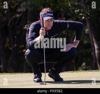 Jeju, Corea del Sud. Xx oct, 2018. Ian Poulter di Inghilterra compete durante la terza tornata di CJ Coppa del PGA Tour a nove ponti in Jeju Island, Corea del Sud, 20 ott. 2018. Credito: Lee Sang-ho/Xinhua/Alamy Live News Foto Stock