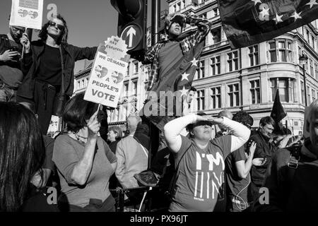 Londra, UK, 20 ottobre 2018. Il voto popolare marzo per il futuro . Più di 500.000 persone hanno marciato sul Parlamento di chiedere la loro voce democratica di essere ascoltato in un punto di riferimento di dimostrazione fatturata come la più importante protesta di una generazione. Come data di UK Brexit dall'Unione europea, i manifestanti radunati nel loro decine di migliaia di persone a fare i leader politici prendere l'avviso e per dare al pubblico britannico un voto finale sul Brexit trattativa. (Foto di Mike Abrahams/Alamy Live News Foto Stock