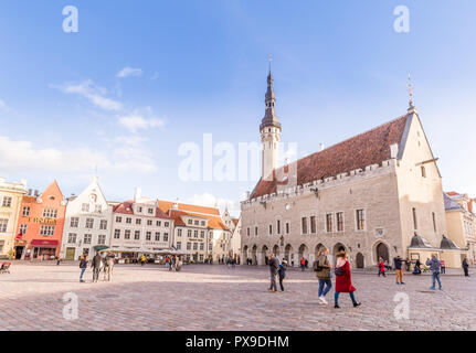 Piazza del Municipio di Tallinn Estonia Foto Stock