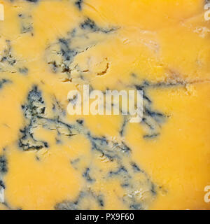 Shropshire Blue Cheese Close Up Foto Stock