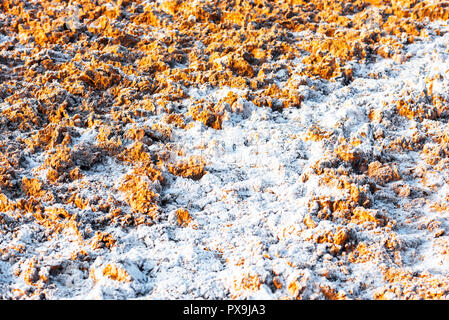 Deserto texture, Atacama, Cile. Close-up Foto Stock