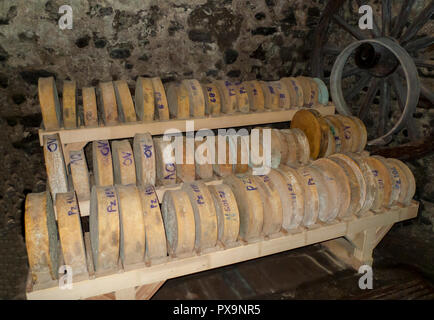 Parmigiano, italienischer alter Hartkäse Räder aufgestellt auf einem Holzregal Foto Stock