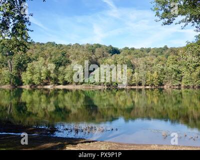 Guardando attraverso il ramo ovest del fiume Susquehanna in un ambiente rurale, con un approccio fortemente boscoso litorale. La Lycoming County, Pennsylvania, USA. Foto Stock