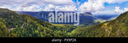 Evergreen Gondwana antica foresta pluviale invecchiato in Dorrigo parco nazionale coperto da una spessa gomma-tree boschi tra le gamme della montagna lungo la strada a cascata su un Foto Stock