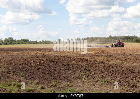 Arando un campo agricolo sul terreno di cui sedersi cicogne e mangiare scavate dall'aratro di worms Foto Stock