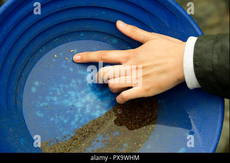 Oro corso di panning per visitatori e turisti sul Mennock acqua vicino Wanlockhead, Scozia. Foto Stock