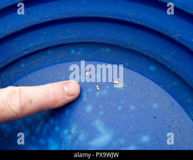 Oro corso di panning per visitatori e turisti sul Mennock acqua vicino Wanlockhead, Scozia. Foto Stock