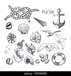 Argomento marino disegnati a mano gli elementi isolati su sfondo bianco. Uccelli, gusci, ancore e nodi. Raccolta di mare dettagli tema. Illustrazione Vettoriale