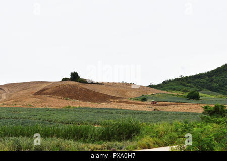 La montagna dove gli alberi sono stati tirati , trattore aratro sporco terreno in collina , Agricoltura a distruggere la foresta, Thailandia Foto Stock