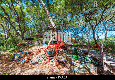 Vista del dipinto di radici di alberi, Westpunt, Curacao, Paesi Bassi Foto Stock