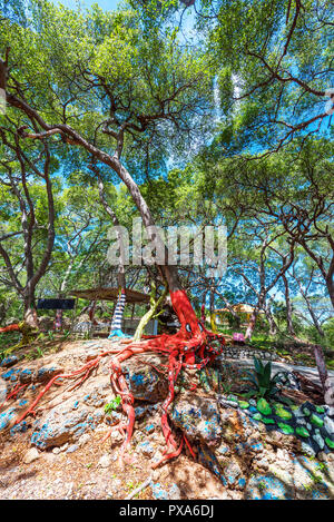 Vista del dipinto di radici di alberi, Westpunt, Curacao, Paesi Bassi. In verticale Foto Stock
