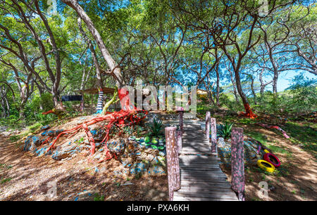 Vista del dipinto di radici di alberi, Westpunt, Curacao, Paesi Bassi Foto Stock