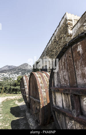 Azienda vitivinicola Coll de Roses, Spagna Catalogna, Rose Foto Stock