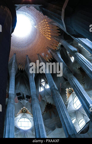 Dettaglio ipnotiche e luce del all'interno del landmark Sagrada Familia a Barcellona, Spagna Foto Stock