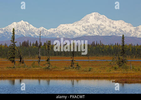 Vista del Monte McKinley che mostra la coperta di neve top nel Parco Nazionale di Denali Alaska USA Foto Stock