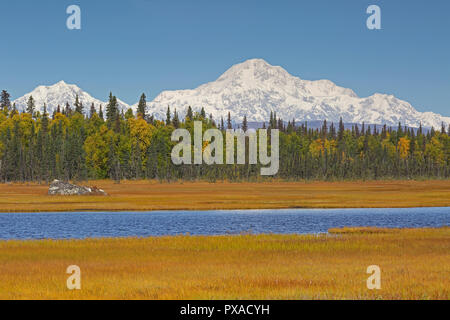 Vista del Monte McKinley che mostra la coperta di neve top nel Parco Nazionale di Denali Alaska USA Foto Stock