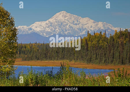 Vista del Monte McKinley che mostra la coperta di neve top nel Parco Nazionale di Denali Alaska USA Foto Stock