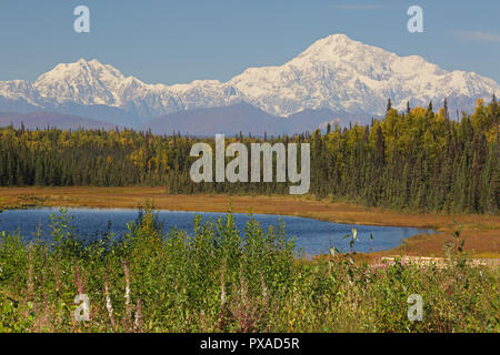 Vista del Monte McKinley che mostra la coperta di neve top nel Parco Nazionale di Denali Alaska USA Foto Stock